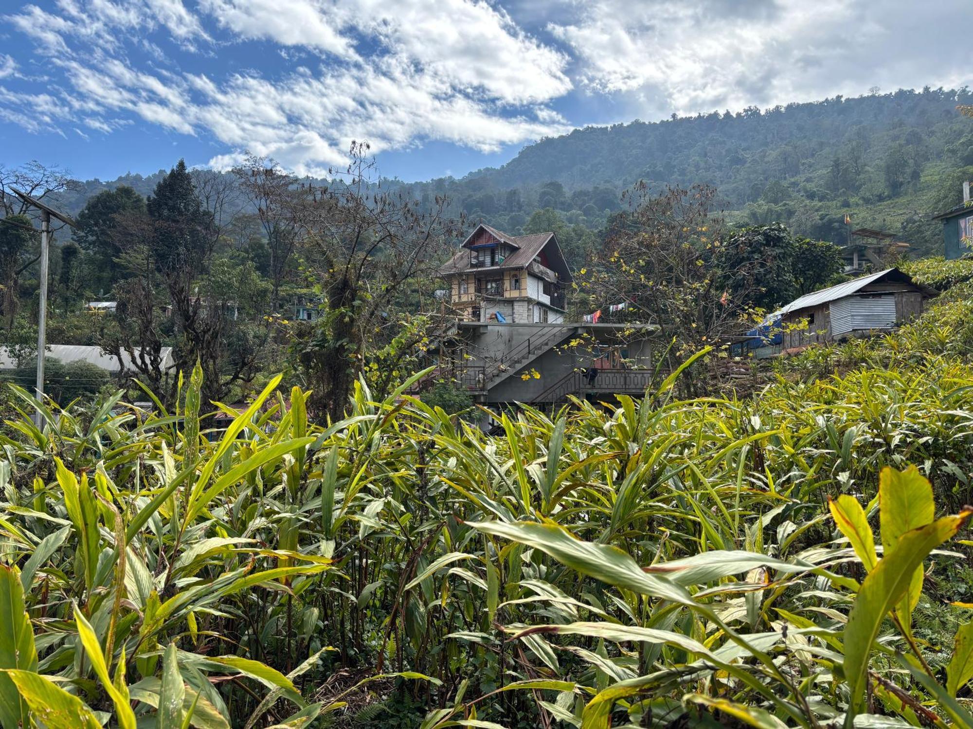 펠링 Odyssey'S Darap Eco Retreat 아파트 외부 사진