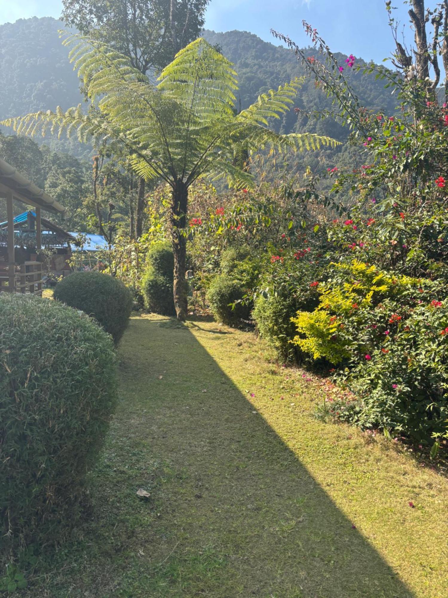 펠링 Odyssey'S Darap Eco Retreat 아파트 외부 사진